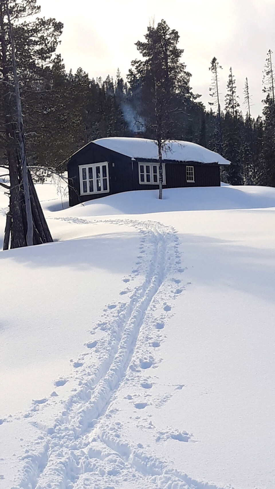 Hytta ved Elgsjøen vinterstid. Adkomst enten til fots, på ski eller med skuter og løyve, ca. 9 km fra nærmeste vintervei.