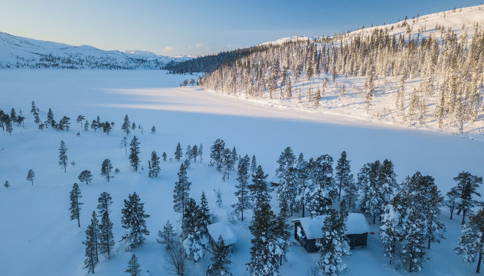 Flott natur og fin fisk. På Kvernsjøhytta i Snåsa har du alt du trenger.