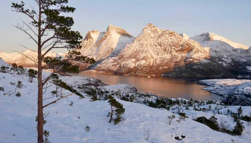 Naturen er ikke noe annet enn spektakulær her, uansett årstid.