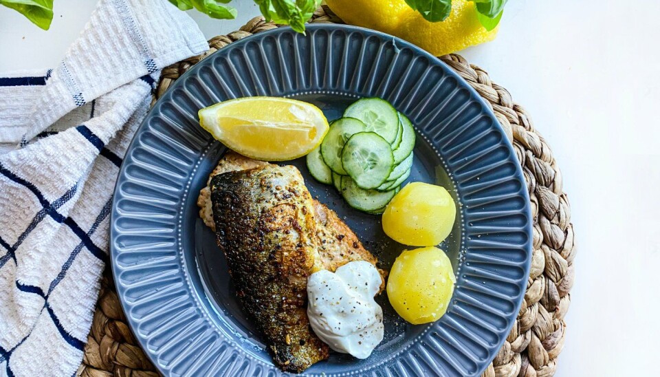 Hyttetur med treretters middag
