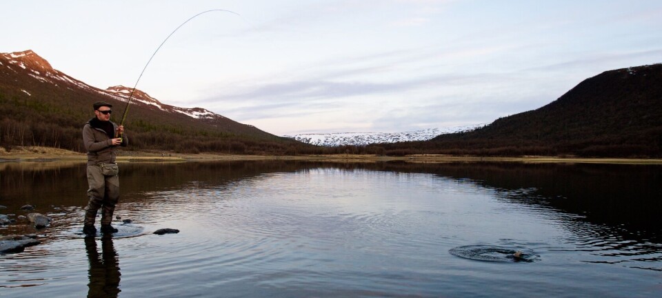 5 beste områder for isfiske i Norge: Tips og triks for å fange ørret og ...