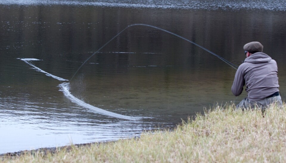 De første insektsklekkingene er viktige for fisken, som kan legge på seg så mye som nitti prosent av kroppsvekten i løpet av noen hektiske uker om våren og forsommeren. Fluefiskere trekkes også mot dette, som ørret mot årets første døgnflueklekkinger. De første insektsklekkingene ert viktige for fisken, som kan legge på seg så mye som nitti prosent av kroppsvekten i løpet av noen hektiske uker om våren og forsommeren.
