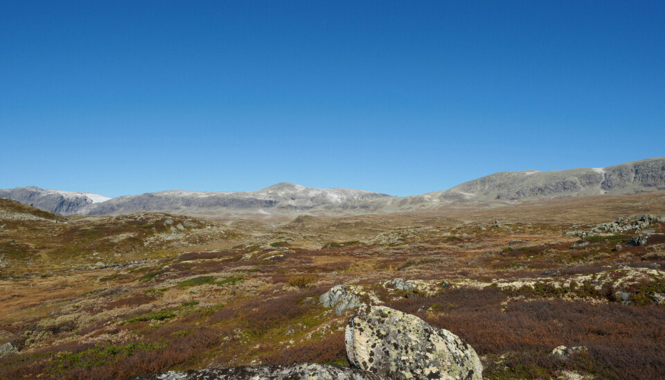 Bjødnabu jakltfelt ligger like ved Hallingskarvet nasjonalpark.