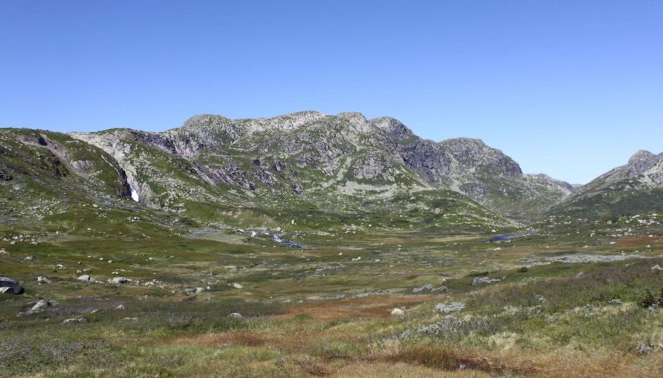 Terrenget egner seg godt for den som søker utfordrende og naturskjønne omgivelser for rypejakt.