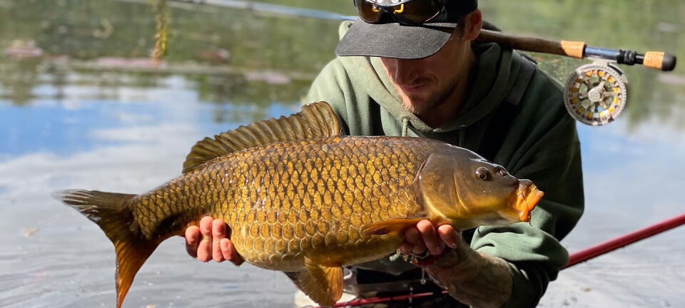 Eksklusivt fiske etter karpe og ørret med guide i Asker