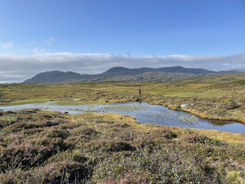 Vandring langs Skjækerfjella.