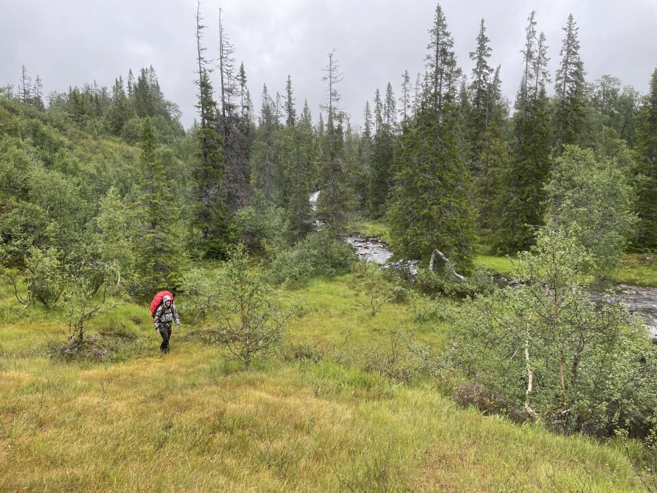 Uttallige vakre og ville fjelldaler.