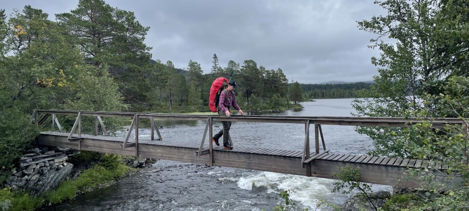5 beste områder for isfiske i Norge: Tips og triks for å fange ørret og ...