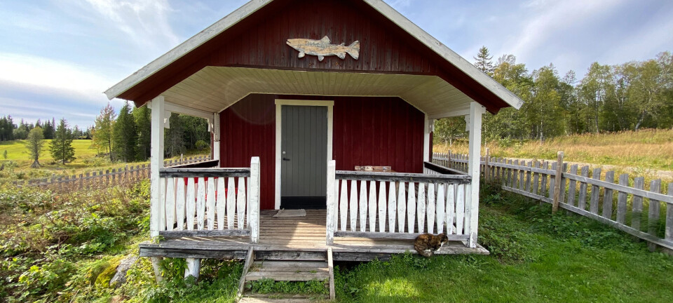 Gjefsjøen fjellgård