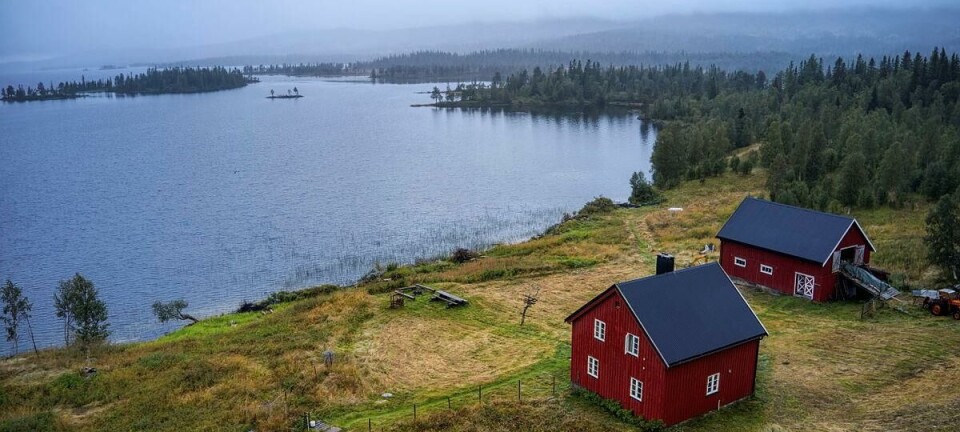 Holden fjellgård