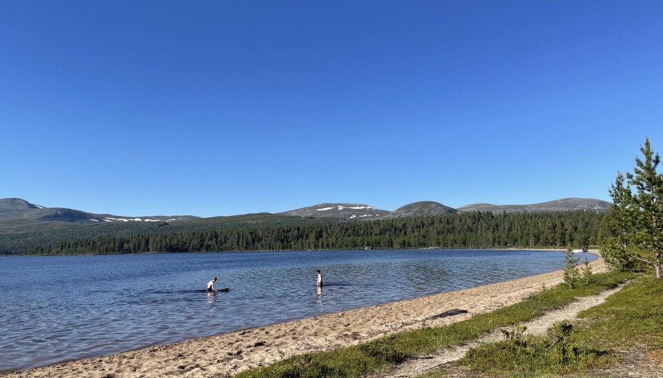 Playa del Fjellgutu.