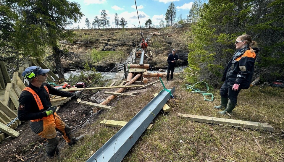Uten broene som fjellstyret bygger og vedlikeholder hadde en tur i Snåsas villmark blitt en mye våtere affære enn det er i dag.