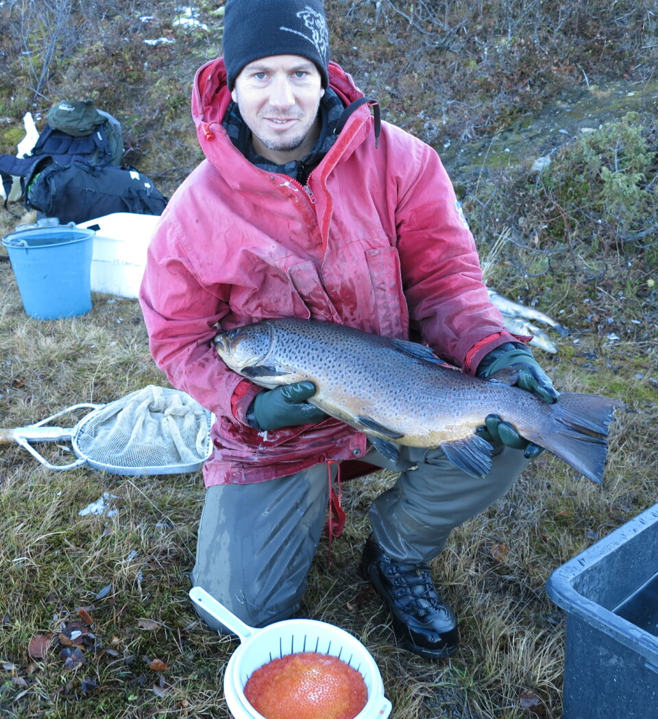 Storfisk fra Mosvatn ...