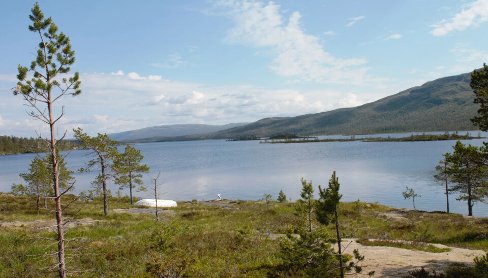 Utsikten fra hytta over Tunnsjøflyan er helt fantastisk.
