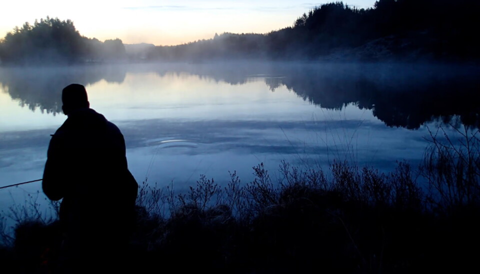 Når mørket senker seg kan storfisken komme nærmere. Det skjer slett ikke alltid, men nordmarksnettene er like nydelige uansett.