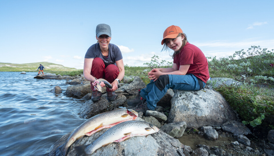 Børgefjell har flere vann hvor kilosfisk er relativt vanlig og kvaliteten er som regel førsteklasses. Adkomst på kloppa sti fra Storvika lar hele familien oppleve fjelldrømmen.