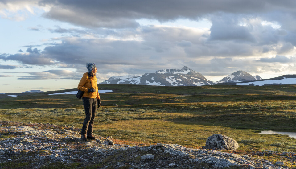 Kvigtind er et flott skue når sola er på vei ned over Børgefjell. Alle vannene som ligger rundt fjellet er gode ørretvann, og små tjern kan virkelig overraske. Grei adkomst til Måsskardvatnan fra Simskardet.