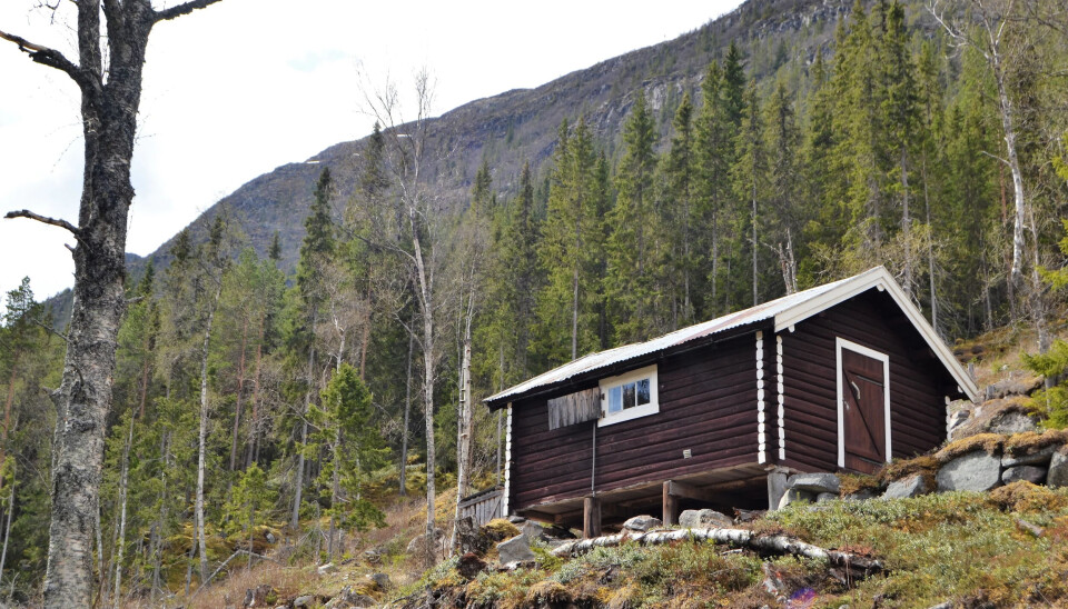 På Finstadsjøbua har du god oversikt. Bua på 18m2 byr ikke på noen luksus, men du kan kjøre nesten helt fram og beliggenheten er veldig god.