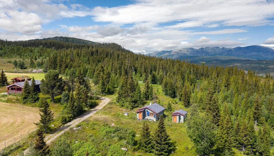 Mellom Gol og Hemsedal finner Sjauset, en perle for ørretfiskere som vil utforske Hemsila, Hallingdalselva, Grøna og fjellstrøka ovafor.