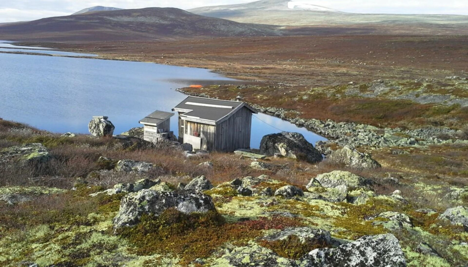 Her bor du rimelig og i omgivelser folk betaler dyre dommer for å oppleve. Det er 6km inn til bua fra parkering i Finndalen.
