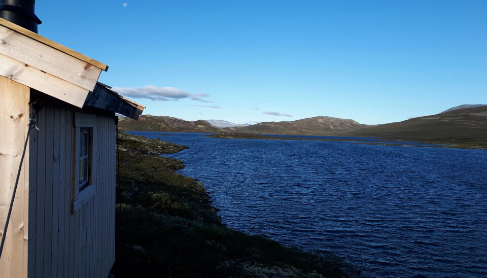 På Honnsjøen kan alle fiske med garn og oter. Båt og garn er med i hytteleia.