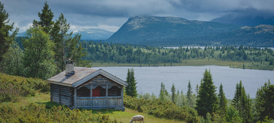 10 hytteperler til under 500,– natta