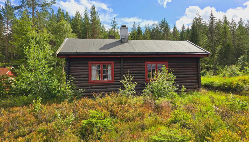 Denne hytta kan du leie av Bamble Jeger- og Fiskarlag. Ikke overraskende ligger den i et område med svært gode muligheter for både storfisk og jakt.