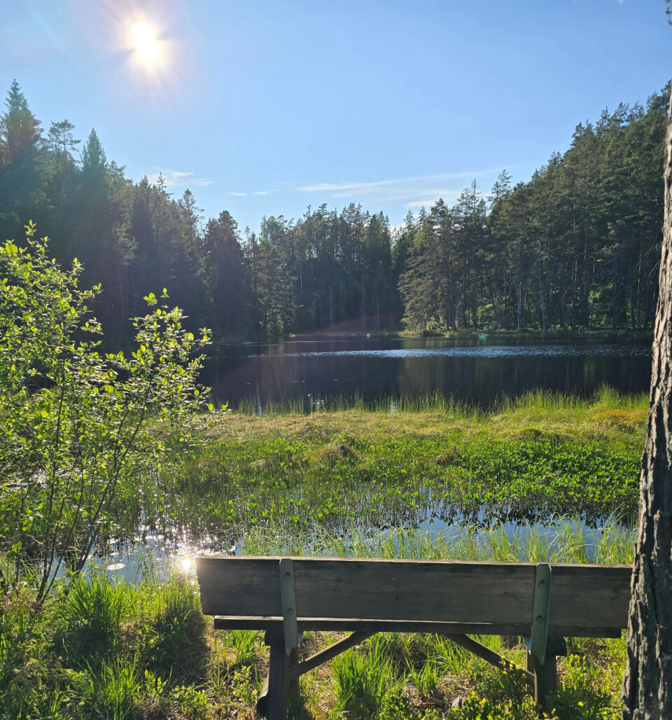 Akkurat sånn ja.