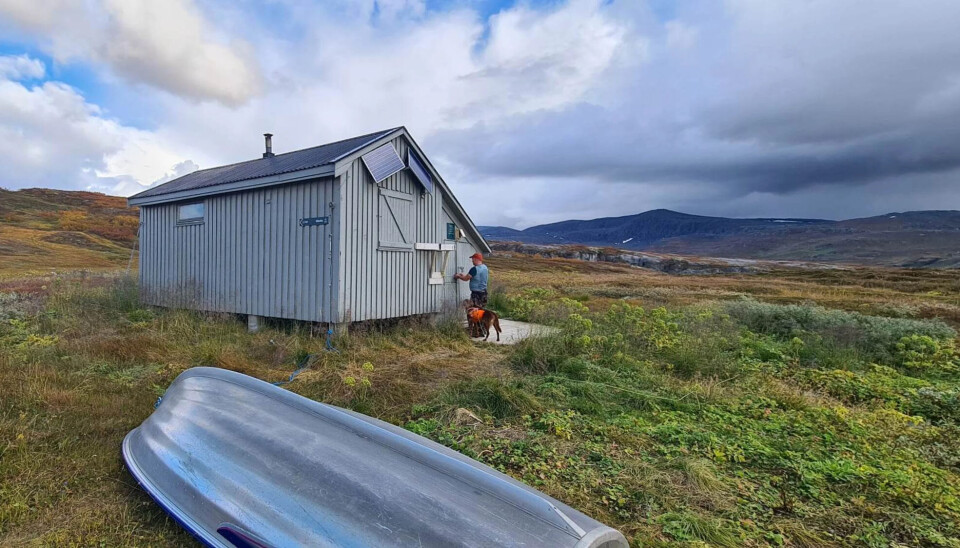 Å leve drømmen med en hytte på fjellet med båt og feit fjellørret i nærheten behøver ikke koste mye. Fiskvannshytta i Lahko nasjonalpark er uvurderlig perle som venter på å bli oppdaget av eventyrlystne sprekinger.