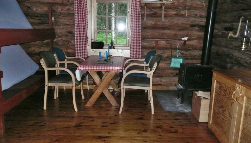Tømmerkoia ligger midt i et spennende villamrksområde med Børgefjell som nærmeste nabo.