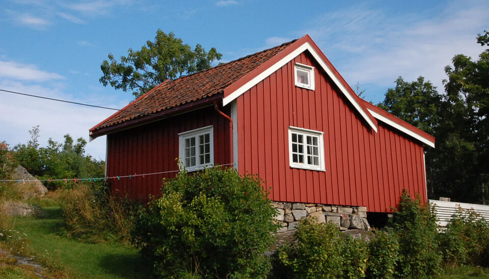 Nyt sommeren i denne sørlandsidyllen mellom Kragerø og Risør.