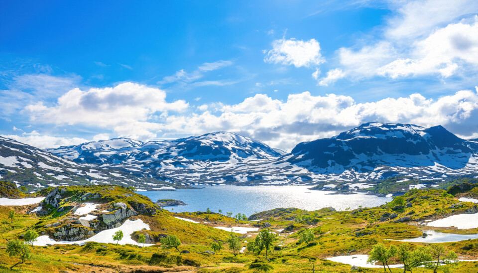 Hardangervidda er Nord-Europas største høyfjellsplatå og Norges største nasjonalpark. Det er viktig at vi tar vare på disse unike områdene. Finner du søppel, ta det med deg hjem.