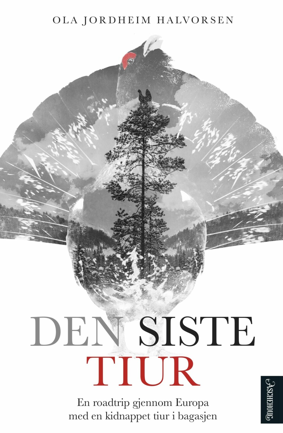 Den siste tiur – en roadtrip gjennom Europa med en kidnappet tiur i bagasjen