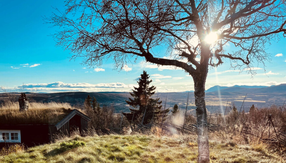 Sol fra morgen til kveld.