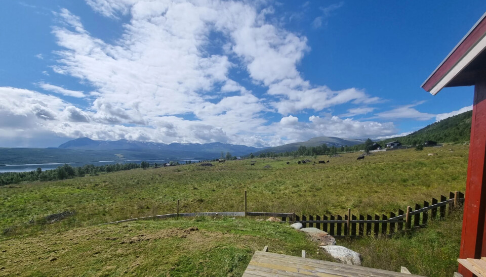 Panoramautsikt over fjell og dal i Vestre Slidre.