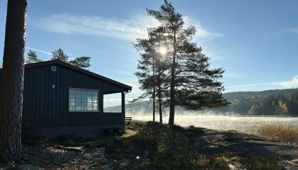 Idyll ved Isesjøen