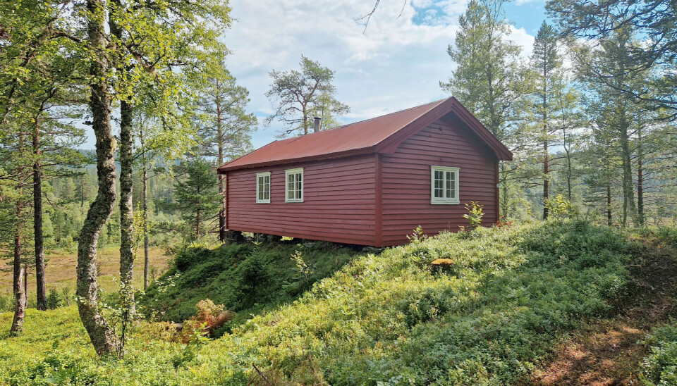 Kort vei til stillhet og frisk luft nær Trondheim.