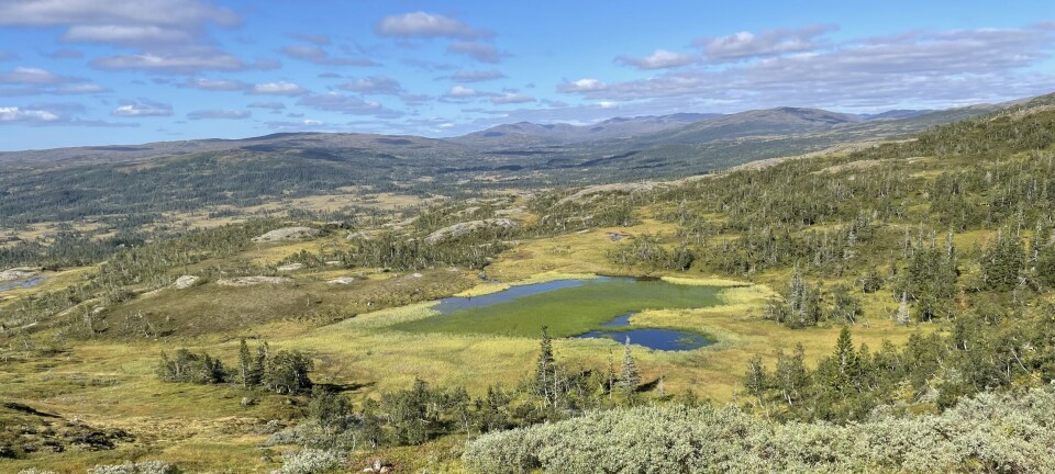 5 beste områder for isfiske i Norge: Tips og triks for å fange ørret og ...