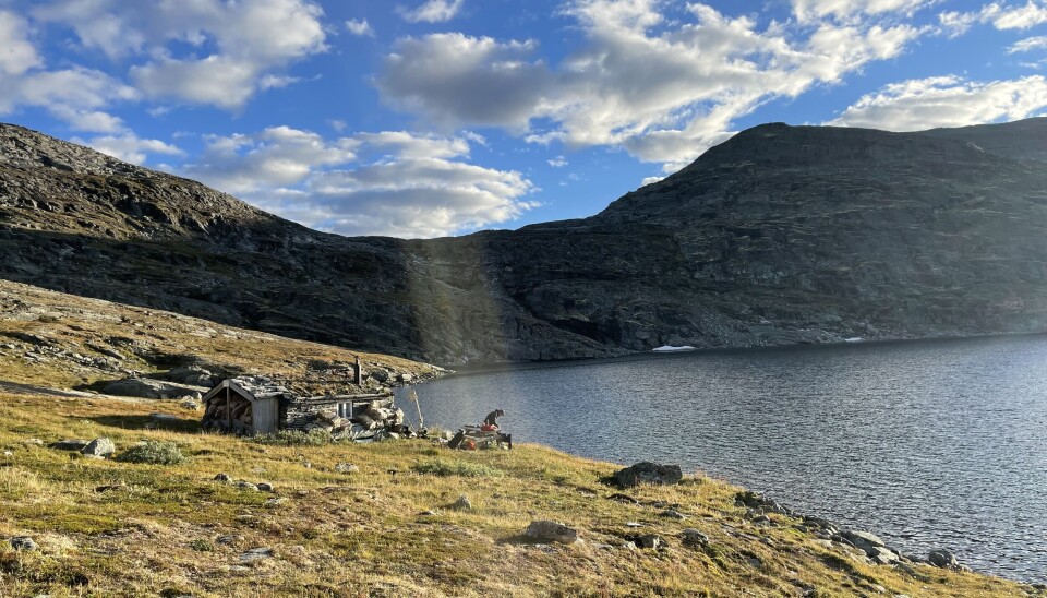 En god bok gjør hytteturen enda bedre.