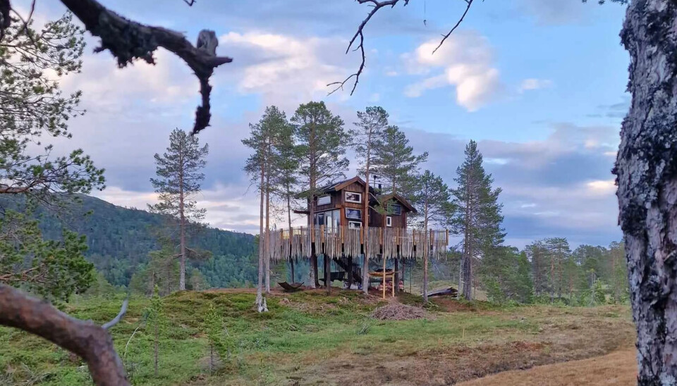 Romundstad Tretopp Panorama