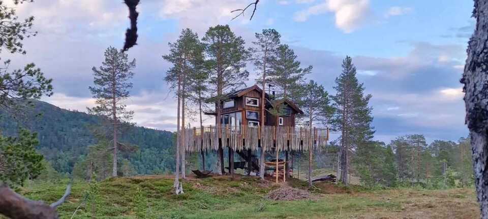 Høy standard i tretoppene