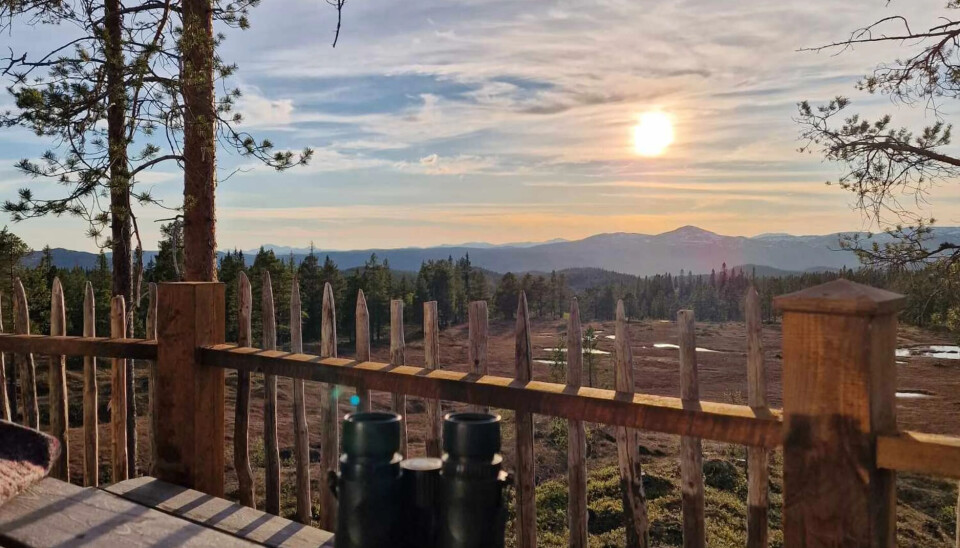 Utsikt til Trollheimen.