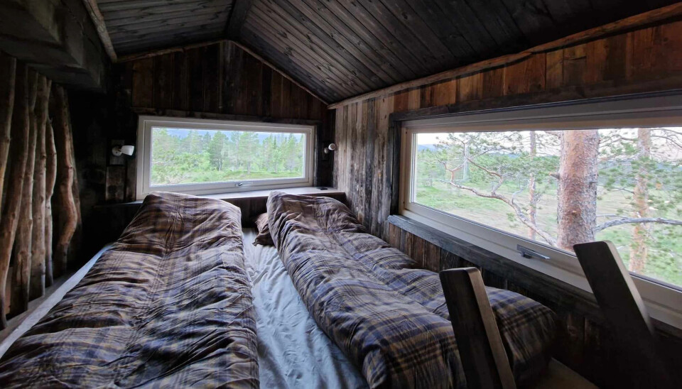 Våkne til fuglekvitter.