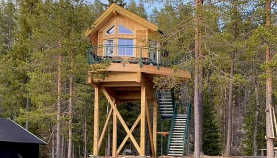 Nyt livet i høyden.