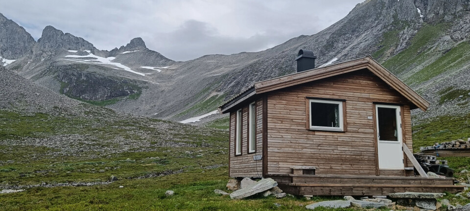 Røyefiske i Norge: Tips og Destinasjoner