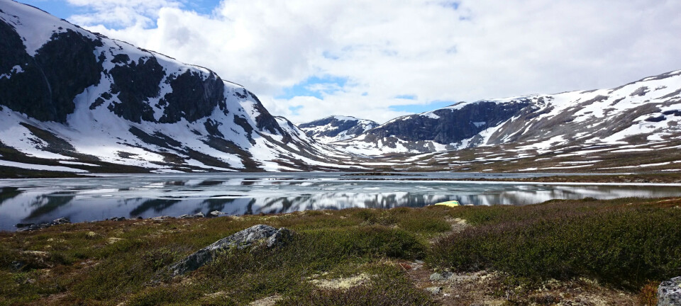 Røyefiske i Norge: Tips og Destinasjoner