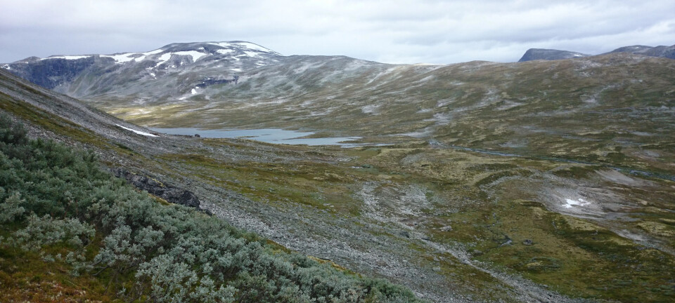 5 beste områder for isfiske i Norge: Tips og triks for å fange ørret og ...