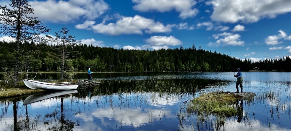 5 beste områder for isfiske i Norge: Tips og triks for å fange ørret og ...