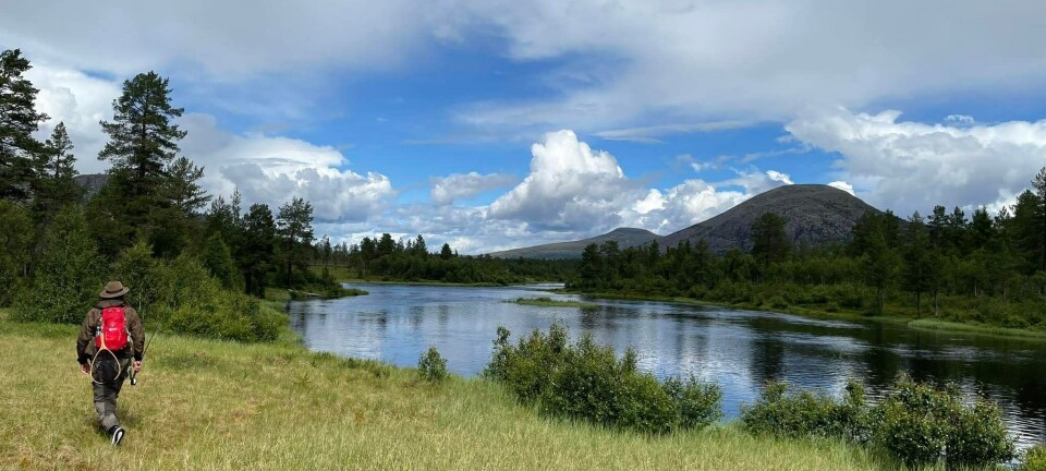 Røyefiske i Norge: Tips og Destinasjoner