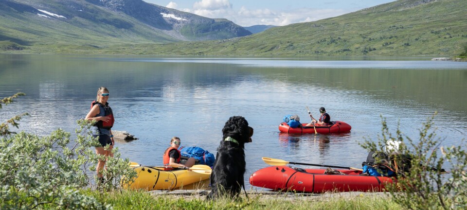 Røyefiske i Norge: Tips og Destinasjoner